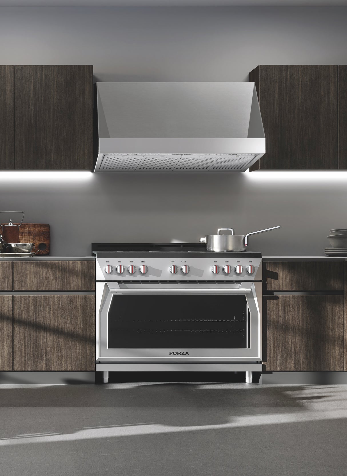 Forza 48" Professional Wall Mounted Range Hood, 24" Tall