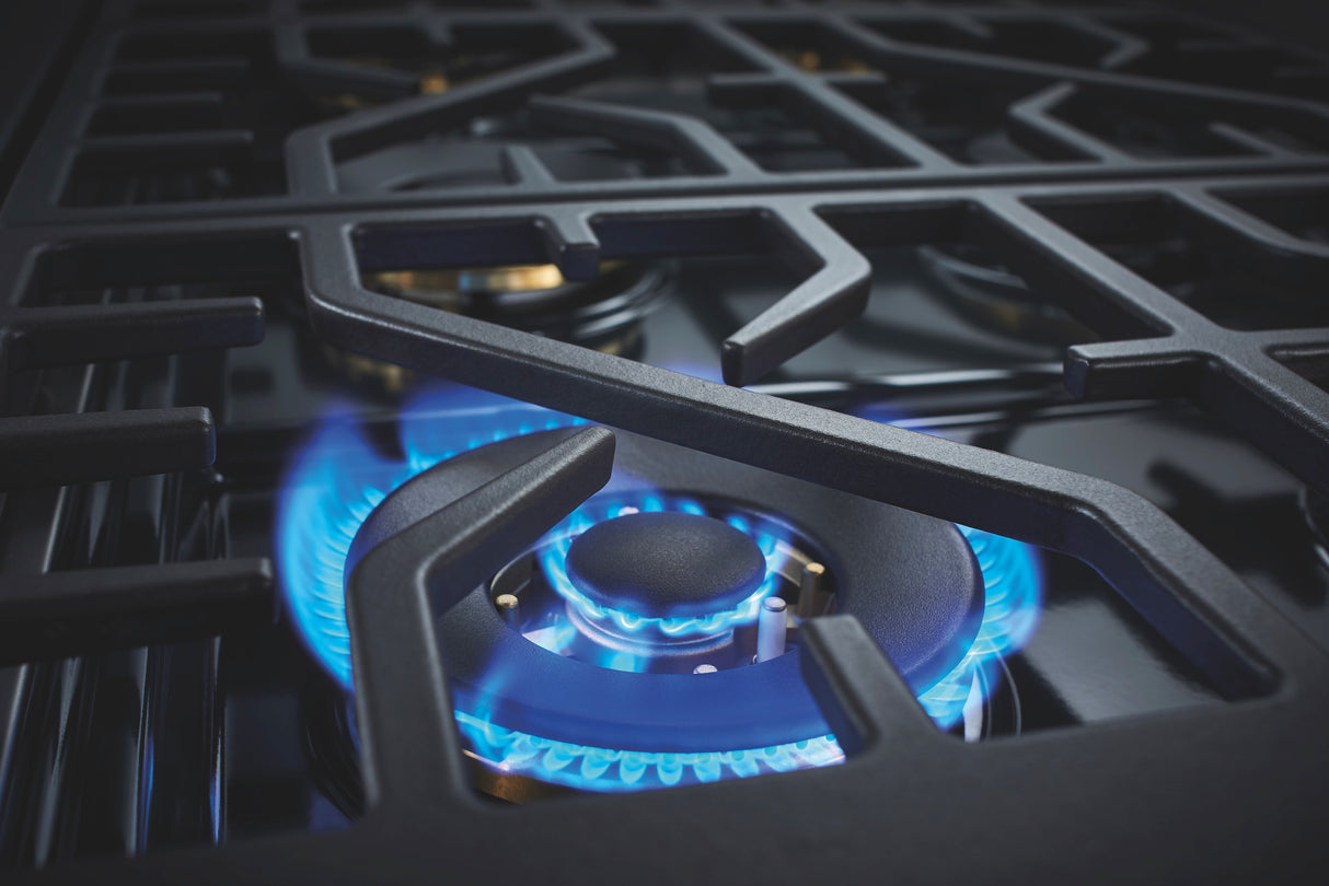 Forza 30" All Gas Pro-Range